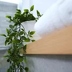 L' Attico Giallo Oro Di Giulia *